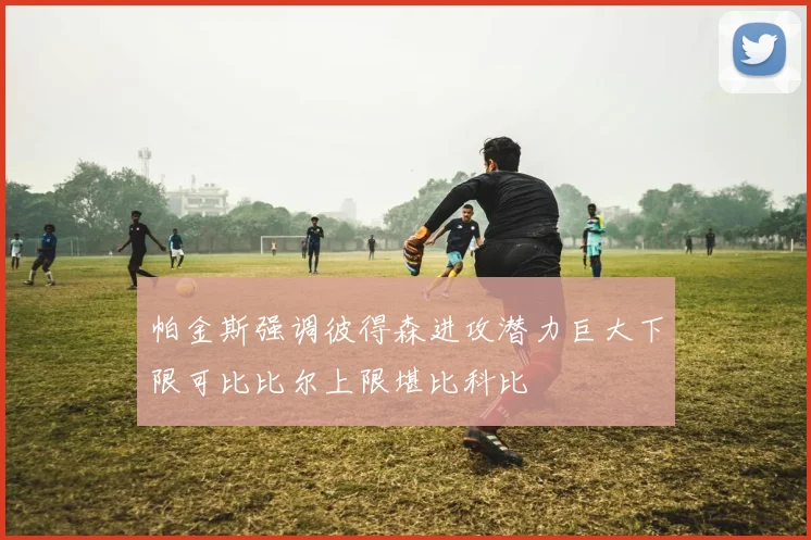 帕金斯强调彼得森进攻潜力巨大下限可比比尔上限堪比科比